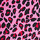 Neon Pink Cheetah